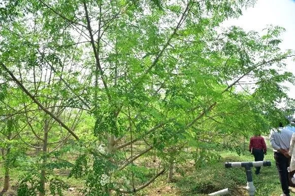 lara_img13