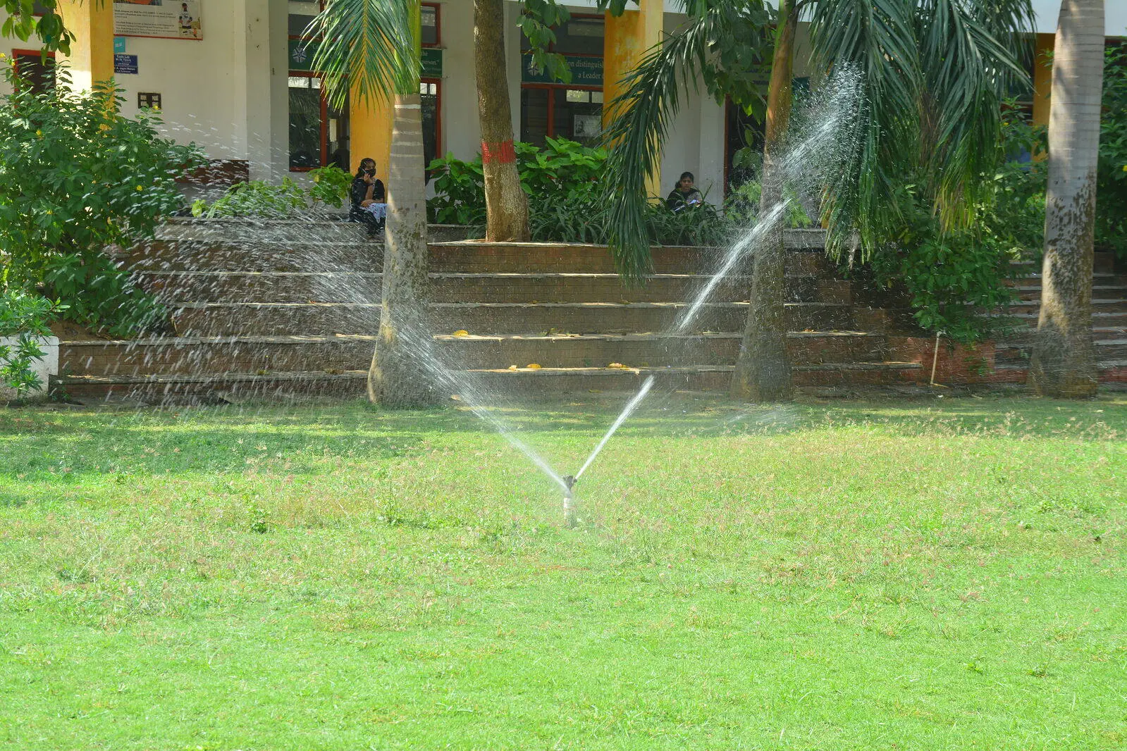 Experience the Ambience image2